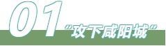 01.png