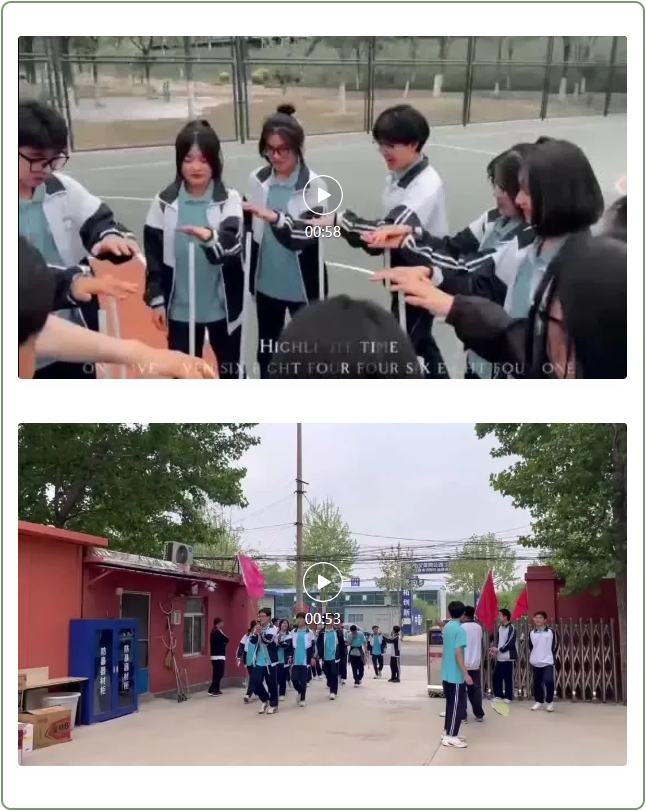 13.png